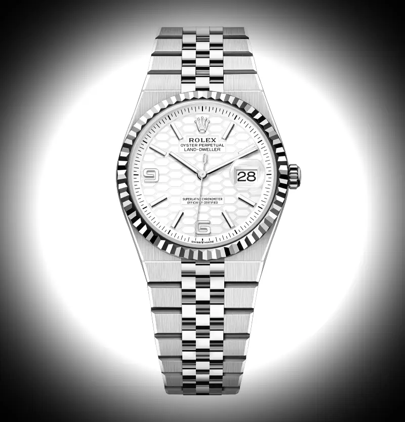 Land-Dweller 36mm Edelstahl