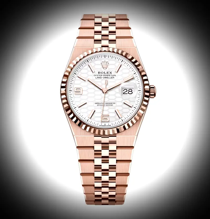 Land-Dweller 36mm Everose Gold