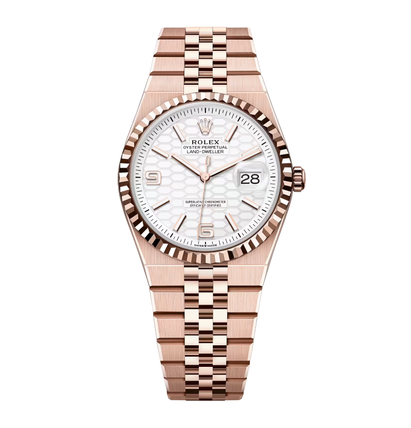 Land-Dweller 36mm Everose Gold